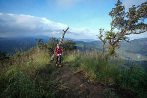 BIB: 
                            <button type="button" onclick="openModal(22441782)" class="btn btn-primary btn-sm float-right btn-popup" data-toggle="modal" data-target=".modal-high-quality">
                        <i class="fas fa-shopping-cart"></i> Add to Cart
                    </button>
                                            <button type="button" onclick="isThisMe(22441782, true)" class="btn btn-success btn-sm float-right btn-popup btn-isme hidden" data-toggle="tooltip" data-placement="bottom" title="นี่คือรูปของคุณใช่ไหม คลิกที่นี่เพื่อเอาเข้าอัลบั้ม">
                        <i class="fas fa-plus"></i> Add to album
                    </button>
                    <button type="button" onclick="isThisMe(22441782, false)" class="btn btn-warning btn-sm float-right btn-popup btn-isnotme hidden">
                        <i class="fas fa-ban"></i> Remove from album
                    </button>